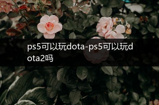 ps5可以玩dota-ps5可以玩dota2吗