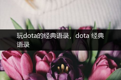 玩dota的经典语录，dota 经典语录