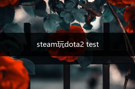 steam玩dota2 test