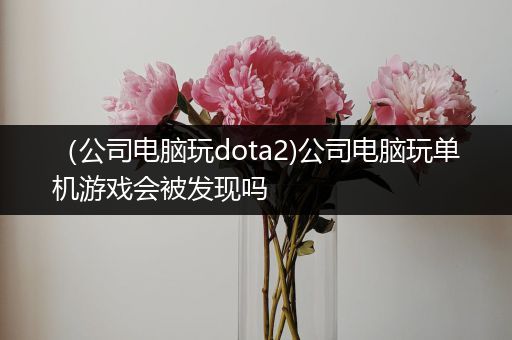 （公司电脑玩dota2)公司电脑玩单机游戏会被发现吗