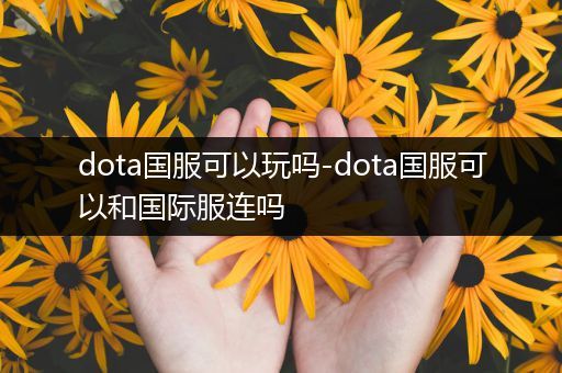 dota国服可以玩吗-dota国服可以和国际服连吗