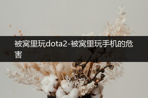 被窝里玩dota2-被窝里玩手机的危害