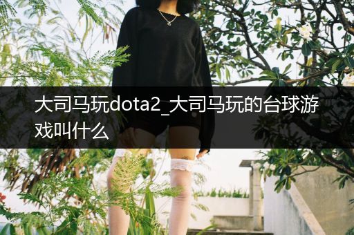 大司马玩dota2_大司马玩的台球游戏叫什么