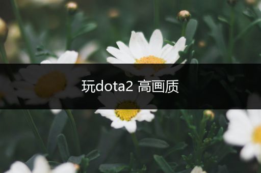 玩dota2 高画质