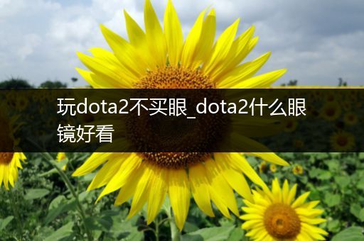 玩dota2不买眼_dota2什么眼镜好看