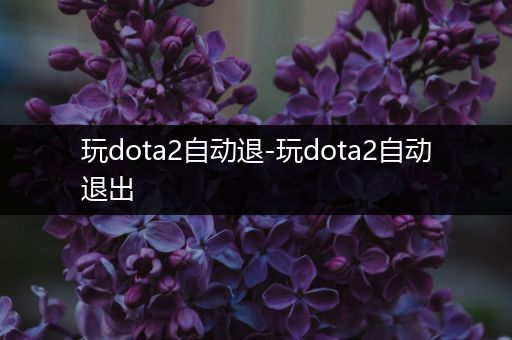 玩dota2自动退-玩dota2自动退出