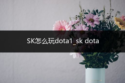 SK怎么玩dota1_sk dota