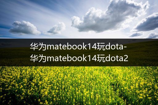 华为matebook14玩dota-华为matebook14玩dota2