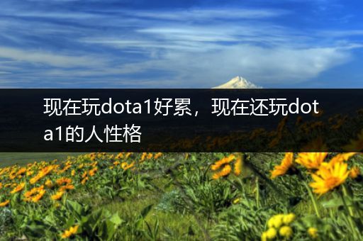 现在玩dota1好累，现在还玩dota1的人性格