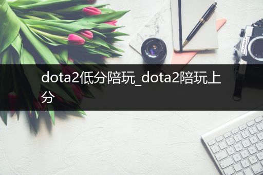 dota2低分陪玩_dota2陪玩上分