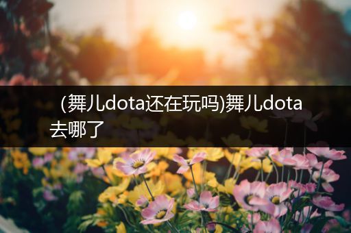 （舞儿dota还在玩吗)舞儿dota去哪了