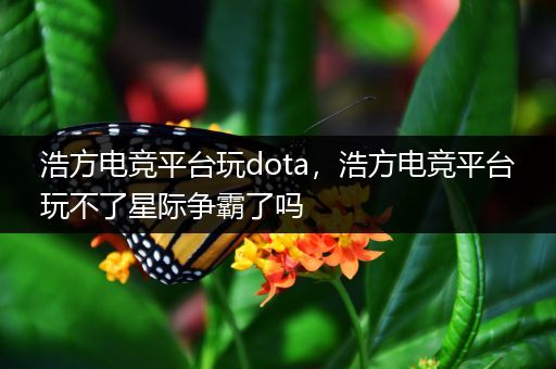 浩方电竞平台玩dota，浩方电竞平台玩不了星际争霸了吗