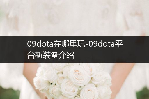 09dota在哪里玩-09dota平台新装备介绍