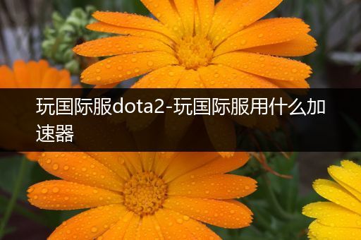 玩国际服dota2-玩国际服用什么加速器