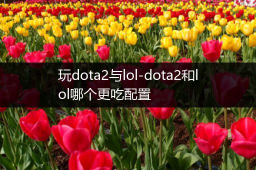 玩dota2与lol-dota2和lol哪个更吃配置