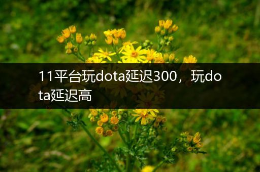 11平台玩dota延迟300，玩dota延迟高