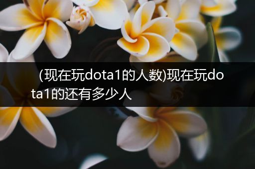 （现在玩dota1的人数)现在玩dota1的还有多少人