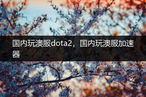 国内玩澳服dota2，国内玩澳服加速器