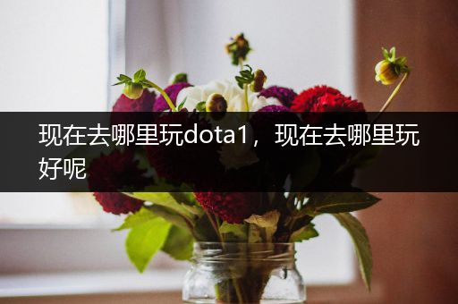 现在去哪里玩dota1，现在去哪里玩好呢