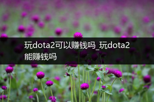 玩dota2可以赚钱吗_玩dota2能赚钱吗