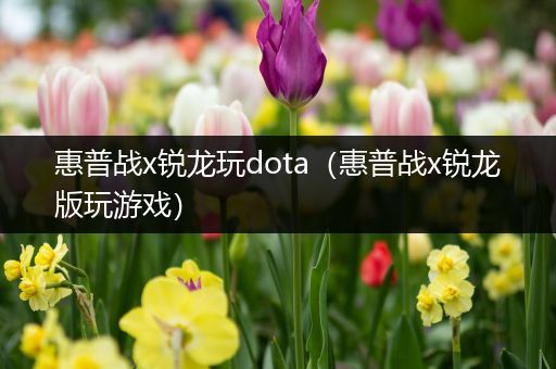 惠普战x锐龙玩dota（惠普战x锐龙版玩游戏）