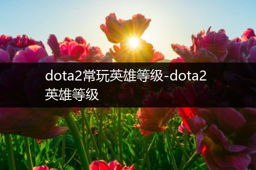 dota2常玩英雄等级-dota2 英雄等级