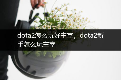 dota2怎么玩好主宰，dota2新手怎么玩主宰