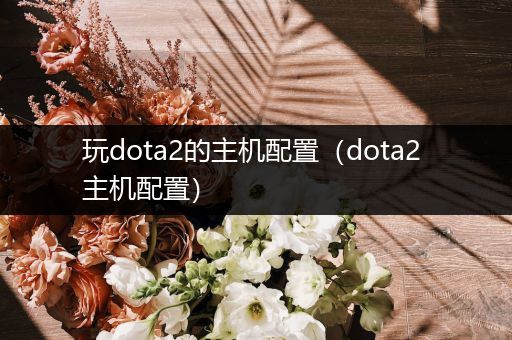 玩dota2的主机配置（dota2 主机配置）