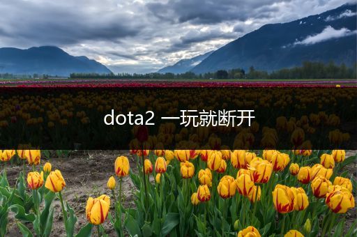 dota2 一玩就断开