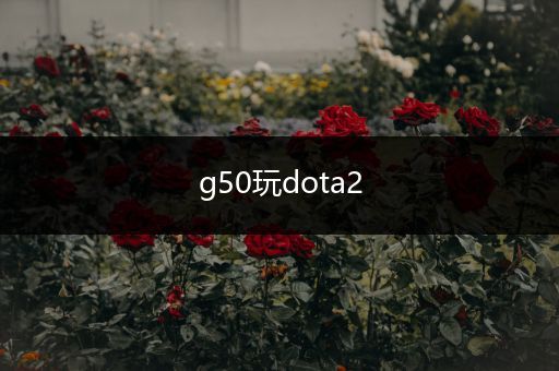 g50玩dota2