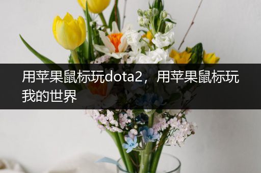 用苹果鼠标玩dota2，用苹果鼠标玩我的世界