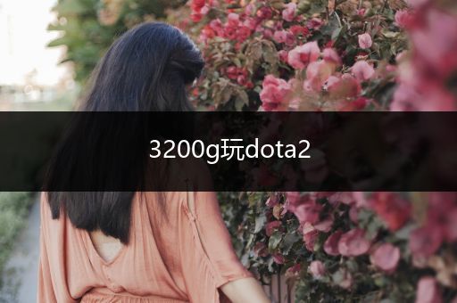 3200g玩dota2