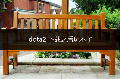 dota2 下载之后玩不了