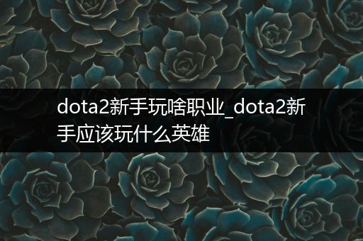 dota2新手玩啥职业_dota2新手应该玩什么英雄
