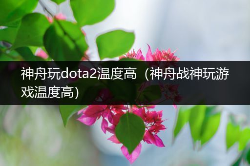 神舟玩dota2温度高（神舟战神玩游戏温度高）