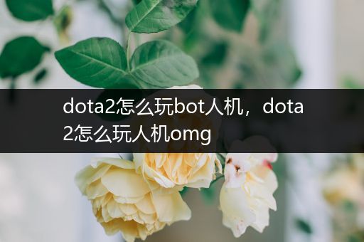 dota2怎么玩bot人机，dota2怎么玩人机omg