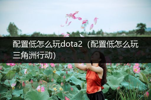 配置低怎么玩dota2（配置低怎么玩三角洲行动）