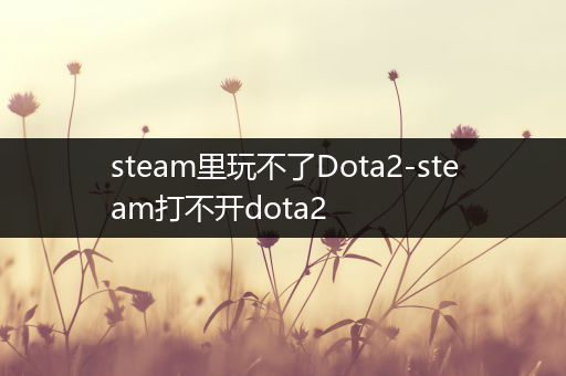 steam里玩不了Dota2-steam打不开dota2