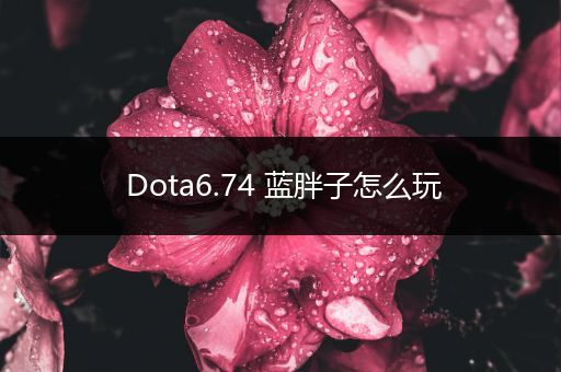 Dota6.74 蓝胖子怎么玩