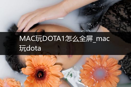 MAC玩DOTA1怎么全屏_mac 玩dota