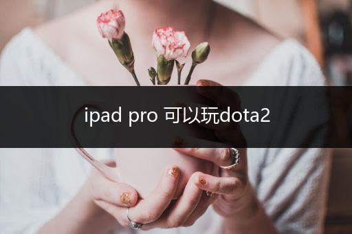 ipad pro 可以玩dota2