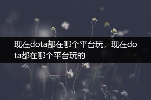 现在dota都在哪个平台玩，现在dota都在哪个平台玩的