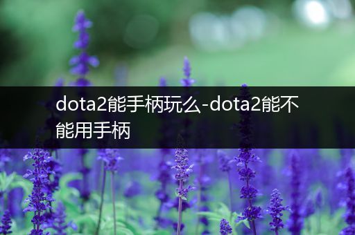 dota2能手柄玩么-dota2能不能用手柄