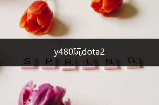 y480玩dota2