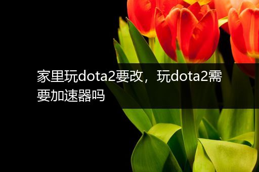 家里玩dota2要改，玩dota2需要加速器吗