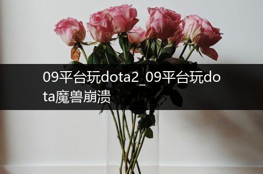 09平台玩dota2_09平台玩dota魔兽崩溃