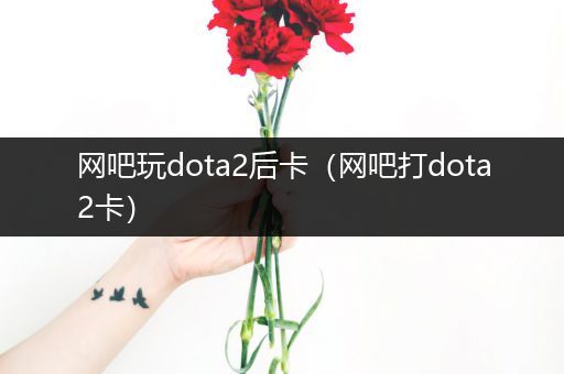 网吧玩dota2后卡（网吧打dota2卡）