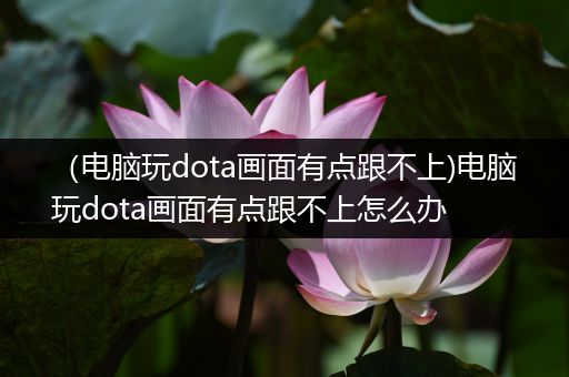 （电脑玩dota画面有点跟不上)电脑玩dota画面有点跟不上怎么办