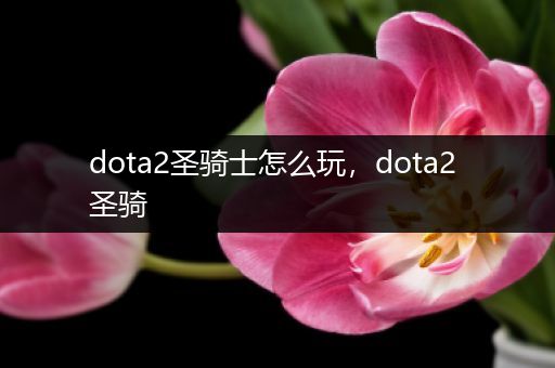 dota2圣骑士怎么玩，dota2 圣骑