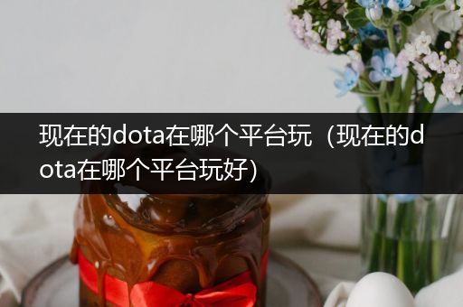 现在的dota在哪个平台玩（现在的dota在哪个平台玩好）